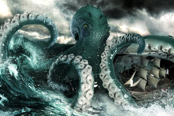 Как вывести деньги с kraken