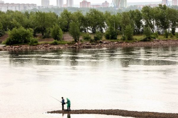 Как восстановить пароль на кракене